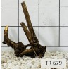 Spiderwood 679