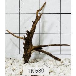 Spiderwood 680