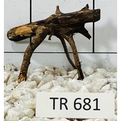 Spiderwood 681