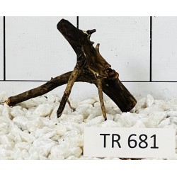 Spiderwood 681