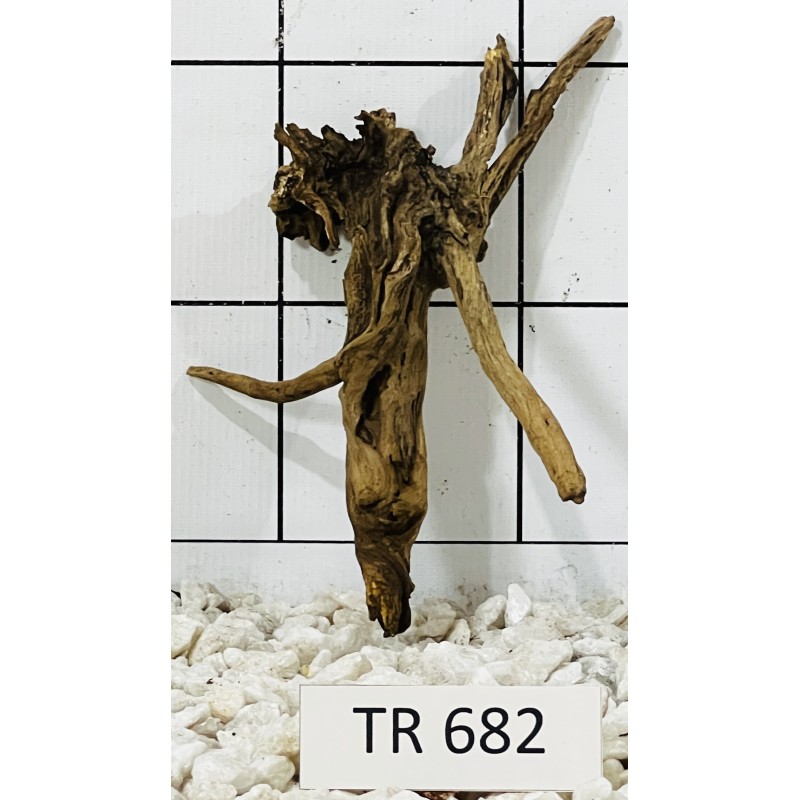 Spiderwood 682