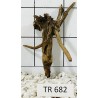 Spiderwood 682