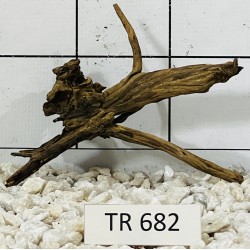 Spiderwood 682