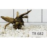 Spiderwood 682