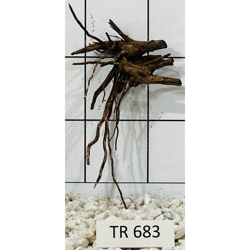 Spiderwood 683