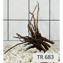 Spiderwood 683