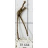 Spiderwood 684