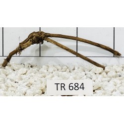 Spiderwood 684