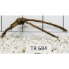 Spiderwood 684