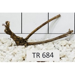 Spiderwood 684