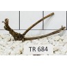 Spiderwood 684