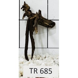 Spiderwood 685