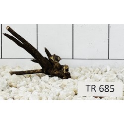 Spiderwood 685