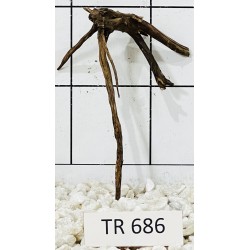 Spiderwood 686