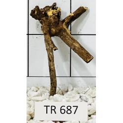 Spiderwood 687