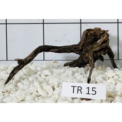 Spiderwood 15