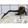 Spiderwood 15
