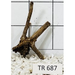 Spiderwood 687