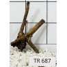 Spiderwood 687
