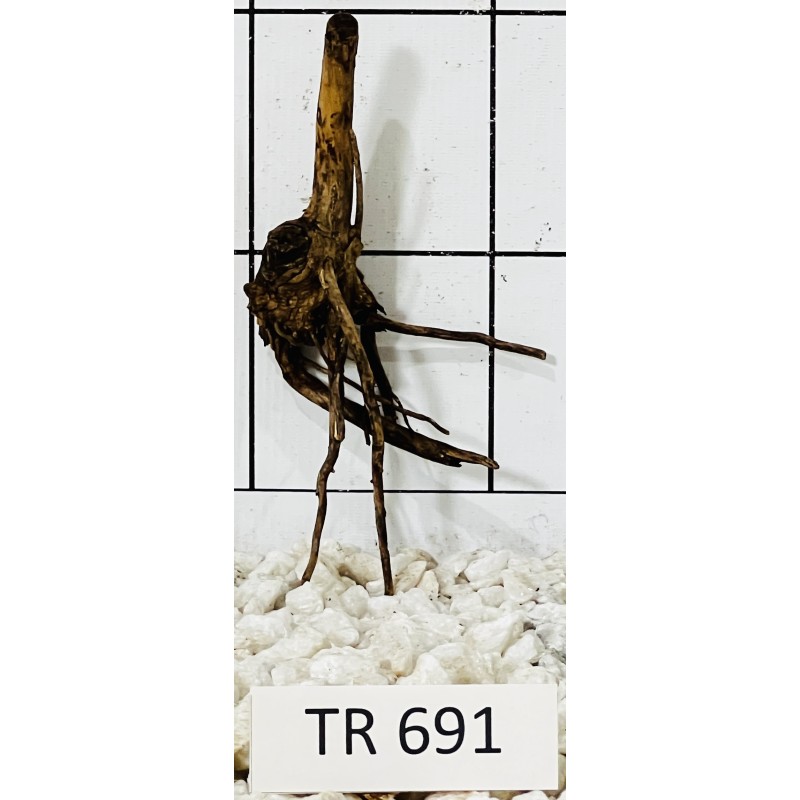 Spiderwood 691