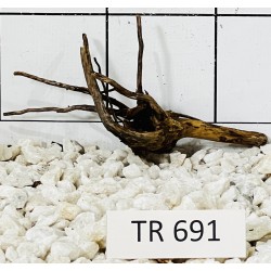 Spiderwood 691