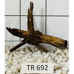 Spiderwood 692
