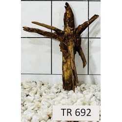 Spiderwood 692