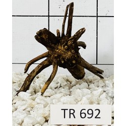 Spiderwood 692