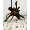 Spiderwood 692