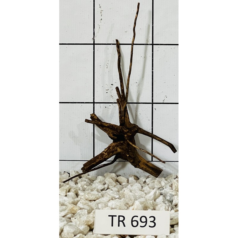 Spiderwood 693
