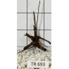 Spiderwood 693