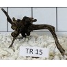 Spiderwood 15