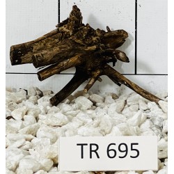 Spiderwood 695