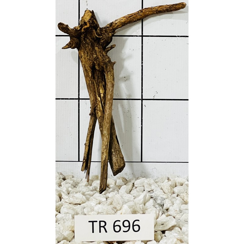 Spiderwood 696