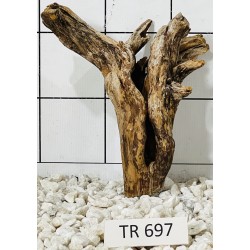 Spiderwood 697