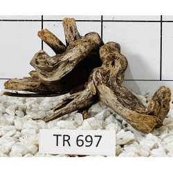 Spiderwood 697