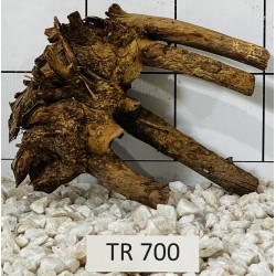 Spiderwood 700