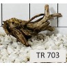 Spiderwood 703