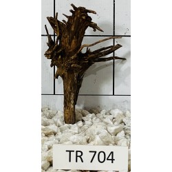 Spiderwood 704