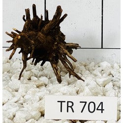 Spiderwood 704