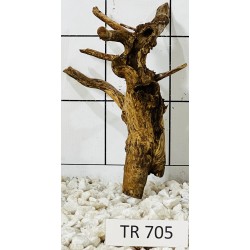 Spiderwood 705