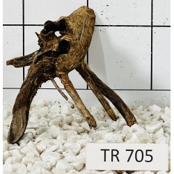Spiderwood 705