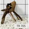 Spiderwood 705