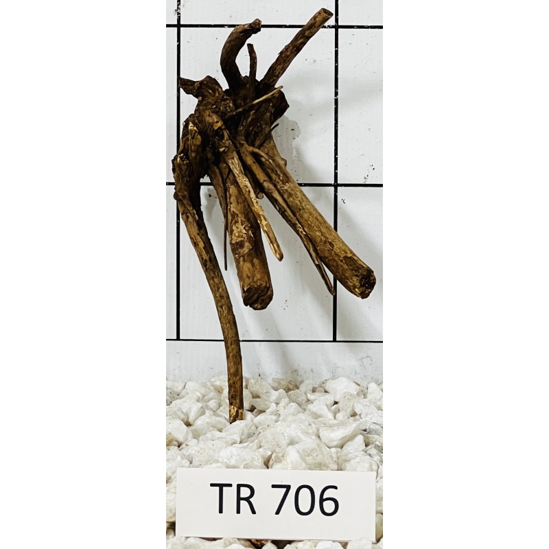 Spiderwood 706