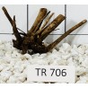 Spiderwood 706