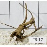 Spiderwood 17