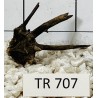 Spiderwood 707