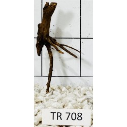 Spiderwood 708