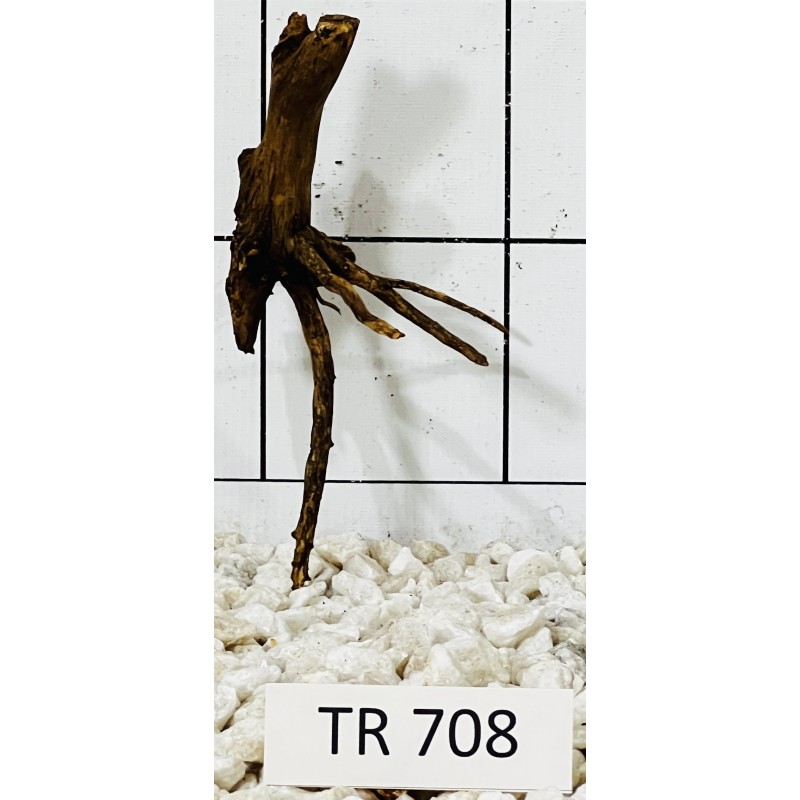 Spiderwood 708