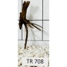 Spiderwood 708